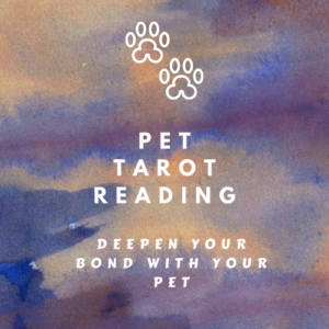 Pet Tarot Reading